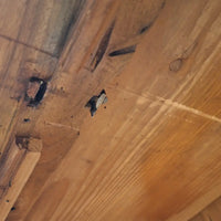 Biedermeier-Halbschrank (Vertiko) mit Halbsäulen Nussbaum