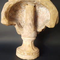 Büste Marie Antoinette in Terrakotta um 1800 - Sammlerstücke