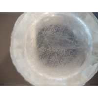 Glasvase Bagatelle von René Lalique um 1935 - Möbel