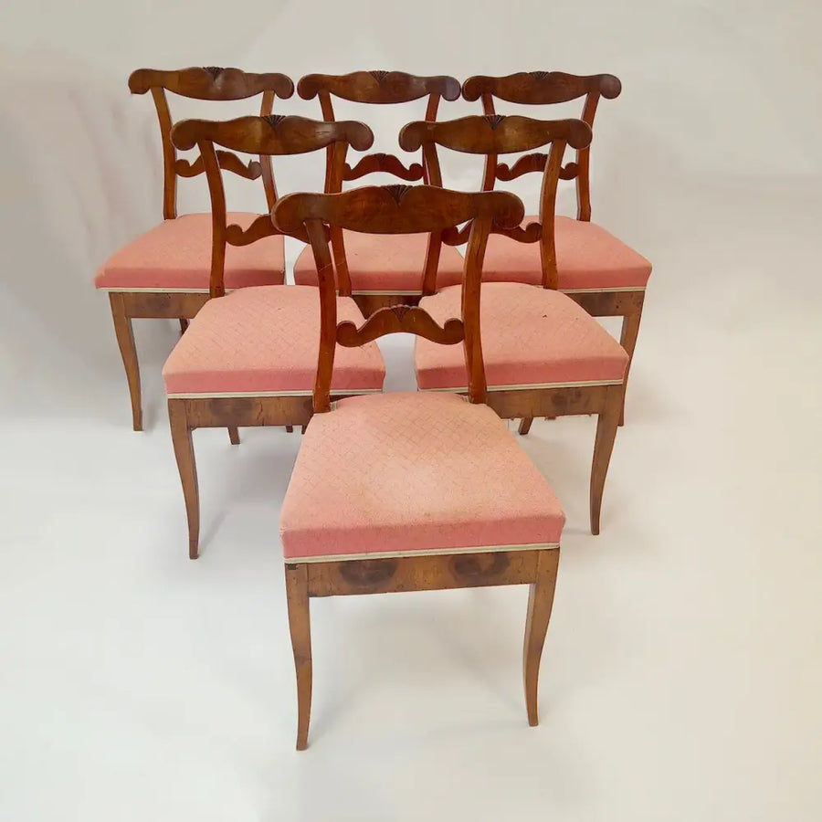 Biedermeier 6 Stühle Nussbaum - Möbel