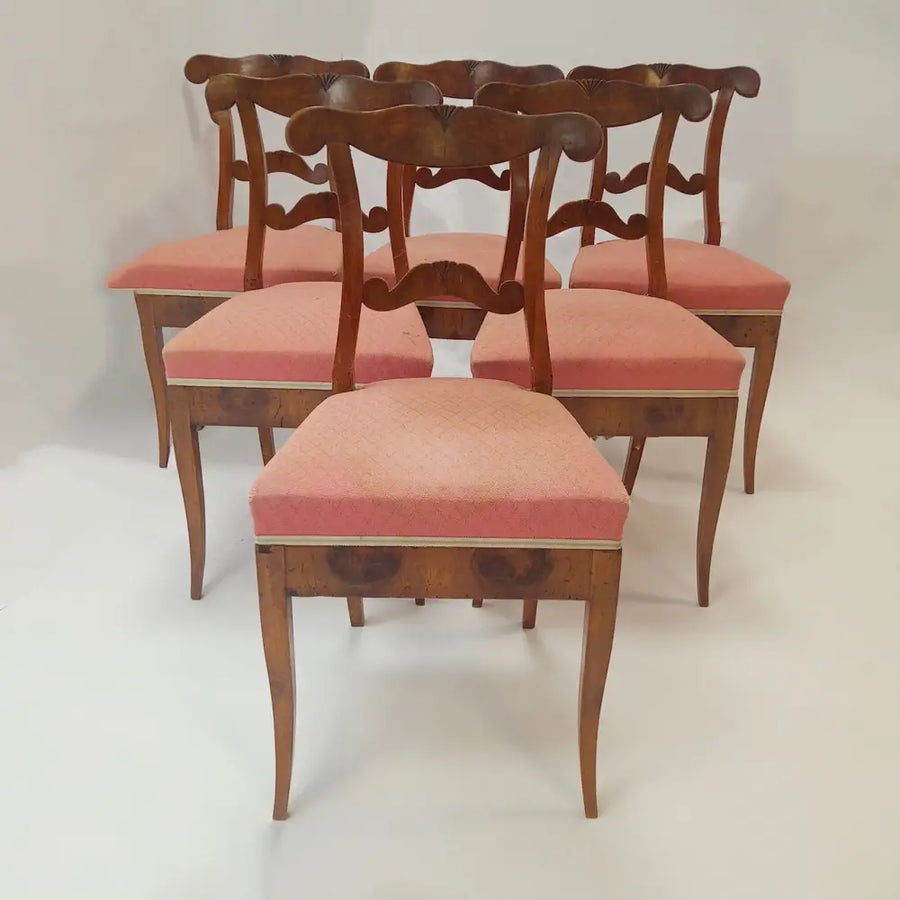 Biedermeier 6 Stühle Nussbaum - Möbel