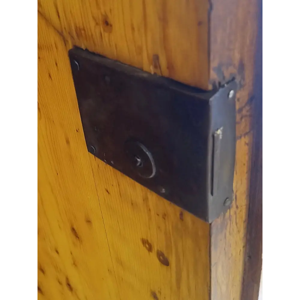 Biedermeier Schrank mit bombierten Türen um 1825 - Möbel